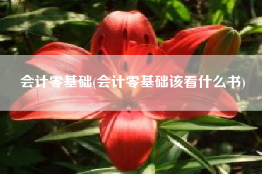 会计零基础(会计零基础该看什么书)
