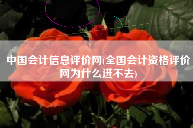 中国会计信息评价网(全国会计资格评价网为什么进不去)