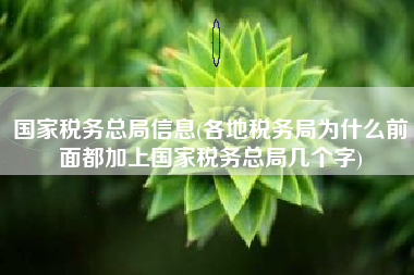 国家税务总局信息(各地税务局为什么前面都加上国家税务总局几个字)