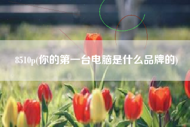 8510p(你的第一台电脑是什么品牌的)