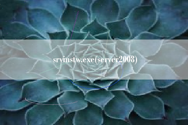 srvinstw.exe(server2008)