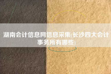 湖南会计信息网信息采集(长沙四大会计事务所有哪些)