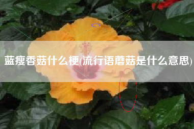 蓝瘦香菇什么梗(流行语蘑菇是什么意思)