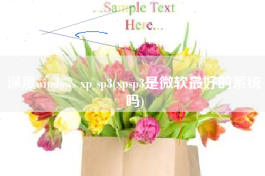 深度windows xp sp3(xpsp3是微软最好的系统吗)