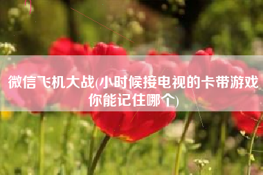 微信飞机大战(小时候接电视的卡带游戏你能记住哪个)