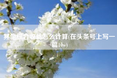 其他综合收益怎么计算(在头条号上写一篇10w)