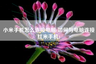 小米手机怎么连接电脑(如何与电脑连接红米手机)