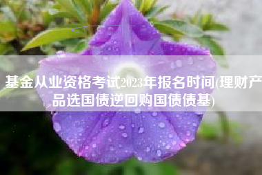 基金从业资格考试2023年报名时间(理财产品选国债逆回购国债债基)