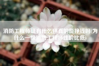 消防工程师证有什么用真的能挣钱吗(为什么一级消防工程师性价比低)