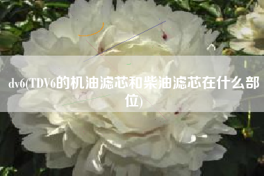 dv6(TDV6的机油滤芯和柴油滤芯在什么部位)