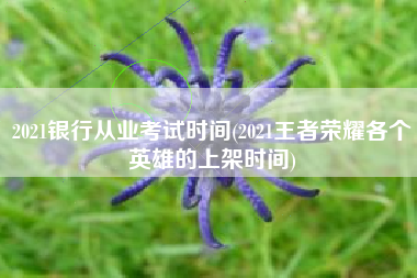 2021银行从业考试时间(2021王者荣耀各个英雄的上架时间)