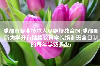 成都市专业技术人员继续教育网(成都哪所大学开有继续教育学院培训班全日制的每年学费多少)