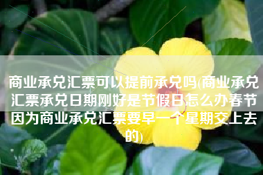 商业承兑汇票可以提前承兑吗(商业承兑汇票承兑日期刚好是节假日怎么办春节因为商业承兑汇票要早一个星期交上去的)