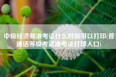 中级经济师准考证什么时候可以打印(普通话等级考试准考证打印入口)