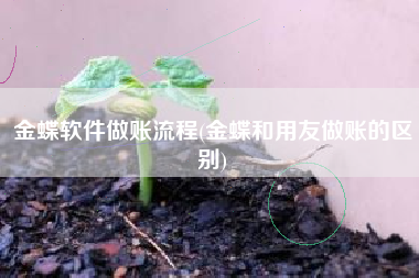 金蝶软件做账流程(金蝶和用友做账的区别)