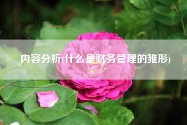 内容分析(什么是财务管理的雏形)