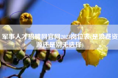 军事人才招聘网官网2023岗位表(是浪费资源还是别无选择)