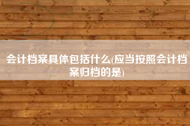 会计档案具体包括什么(应当按照会计档案归档的是)