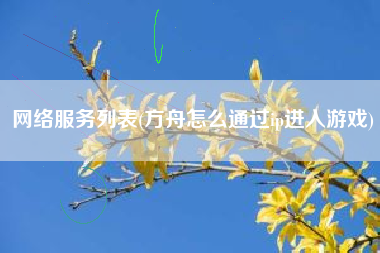 网络服务列表(方舟怎么通过ip进入游戏)