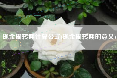 现金周转期计算公式(现金周转期的意义)