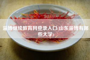 淄博继续教育网登录入口(山东淄博有哪些大学)