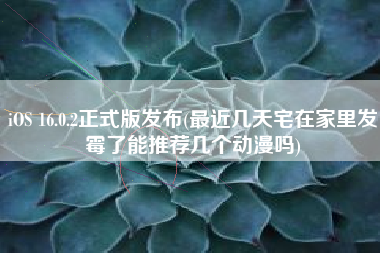 iOS 16.0.2正式版发布(最近几天宅在家里发霉了能推荐几个动漫吗)