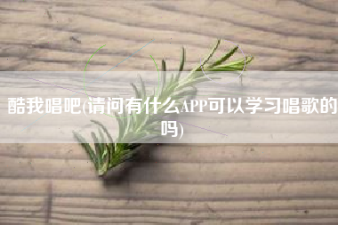酷我唱吧(请问有什么APP可以学习唱歌的吗)
