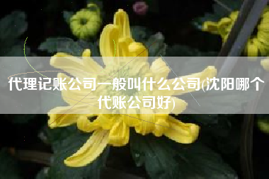 代理记账公司一般叫什么公司(沈阳哪个代账公司好)