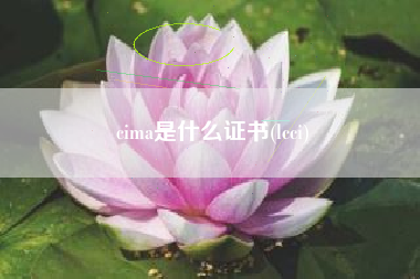 cima是什么证书(lcci)