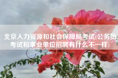 北京人力资源和社会保障局考试(公务员考试和事业单位招聘有什么不一样)