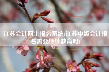 江苏会计网上报名系统(江苏中级会计报名需要继续教育吗)