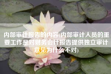 内部审计报告的内容(内部审计人员的重要工作是对财务会计报告提供独立审计意见为什么不对)