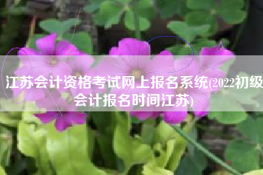 江苏会计资格考试网上报名系统(2022初级会计报名时间江苏)