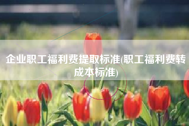 企业职工福利费提取标准(职工福利费转成本标准)