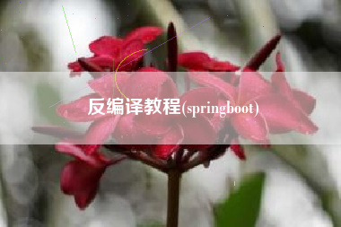 反编译教程(springboot)