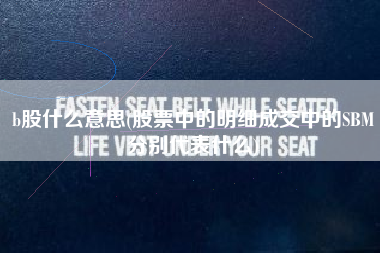 b股什么意思(股票中的明细成交中的SBM分别代表什么)