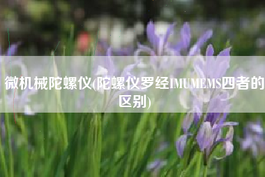 微机械陀螺仪(陀螺仪罗经IMUMEMS四者的区别)