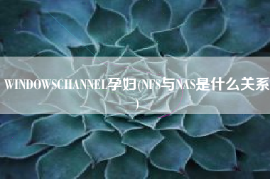 WINDOWSCHANNEL孕妇(NFS与NAS是什么关系)