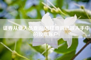 证券从业人员查询(怎样查询已故人手中的股票账户)