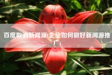 百度取消新闻源(企业如何做好新闻源推广)