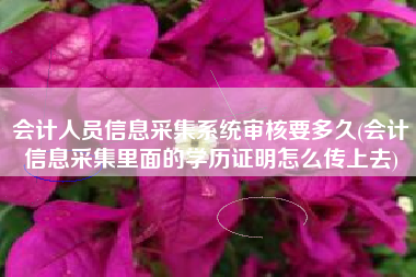 会计人员信息采集系统审核要多久(会计信息采集里面的学历证明怎么传上去)