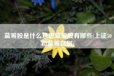 蓝筹股是什么意思蓝筹股有哪些(上证50和蓝筹区别)
