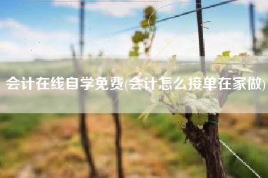 详细阅读:会计在线自学免费(会计怎么接单在家做) 会计在线自学免费(会计怎么接单在家做)