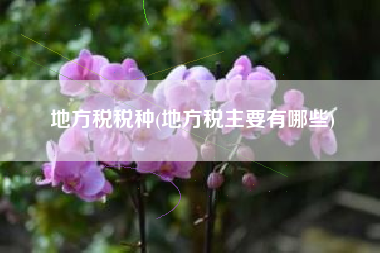 地方税税种(地方税主要有哪些)