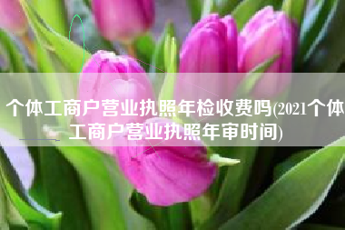 个体工商户营业执照年检收费吗(2021个体工商户营业执照年审时间)