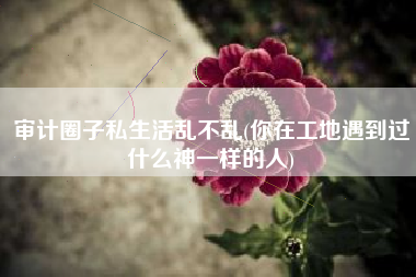审计圈子私生活乱不乱(你在工地遇到过什么神一样的人)