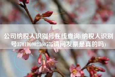 公司纳税人识别号在线查询(纳税人识别号370106902360575请问发票是真的吗)
