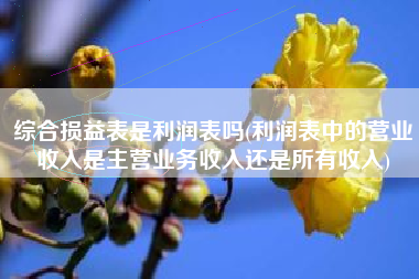 综合损益表是利润表吗(利润表中的营业收入是主营业务收入还是所有收入)