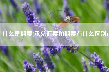 什么是期票(承兑汇票和期票有什么区别)