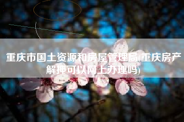 重庆市国土资源和房屋管理局(重庆房产解押可以网上办理吗)